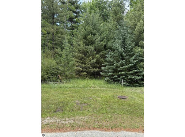741 Manning Lane, East Tawas, MI 48730