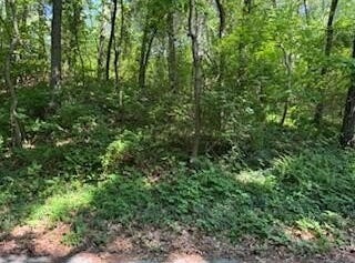 2 Lilac Lane, Grand Beach, MI 49117