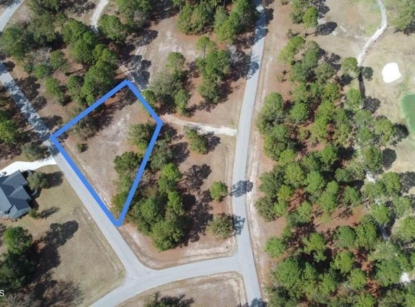 154 Sapelo Park Drive NE, Shellman Bluff, GA 31331