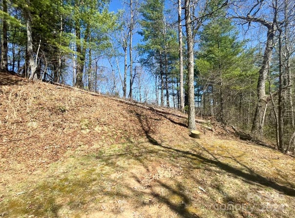 Saturn Way unit: 3, Bryson City, NC 28781