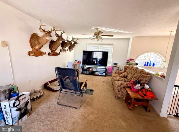 627 WARDEN CIRCLE ROAD, WARDENSVILLE, WV 26851
