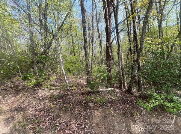 00 Western Red Bird Drive, Hendersonville, NC 28792