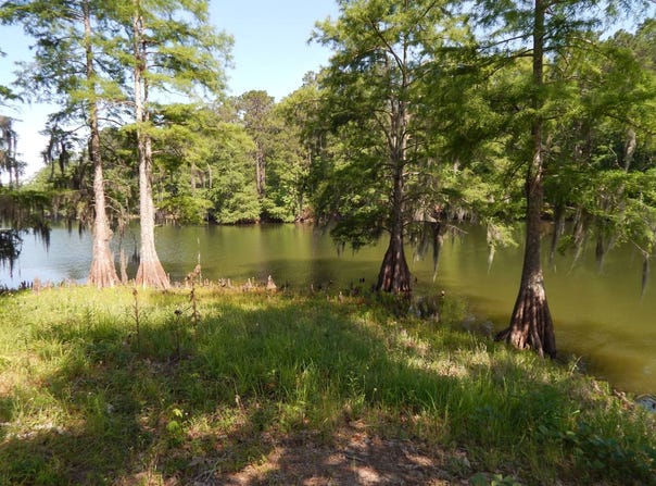 60 River Ridge, Many, LA 71449