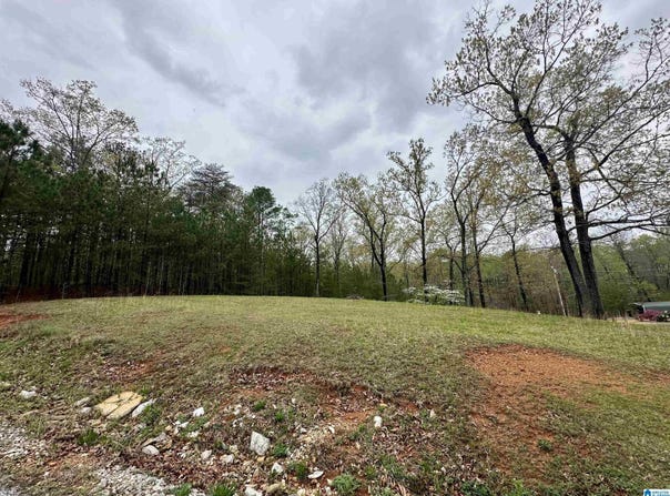0 JONES DRIVE, SYLACAUGA, AL 35151
