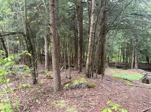 Bordell Rd., Smethport, PA 16749