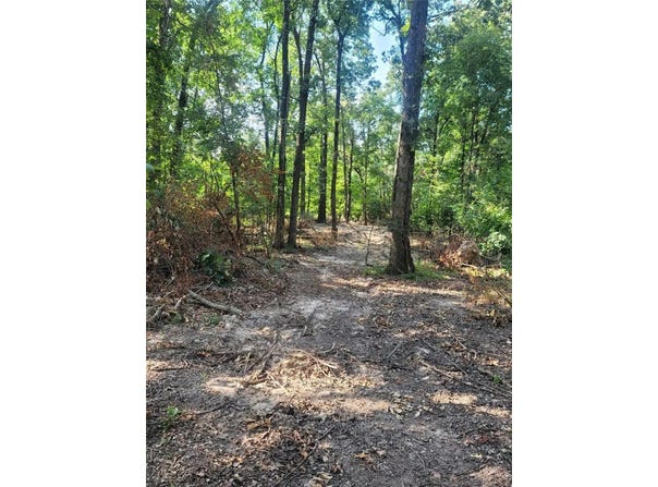 1.37 Acre E Adams Street, Lincoln, AR 72744