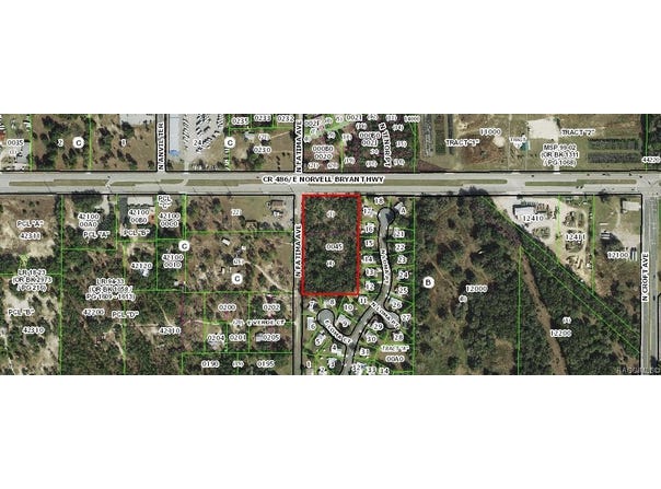 2409 N Fatima Avenue, Hernando, FL 34442