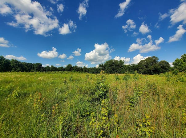 1306 CR 461, Piggott, AR 72454