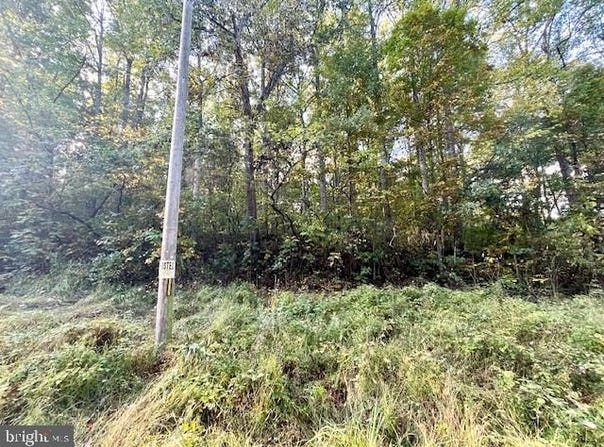0 SHORT MOUNTAIN ROAD, EDINBURG, VA 22824
