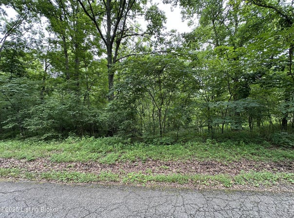 Lot 0 Lakeview Dr, Bloomfield, KY 40008
