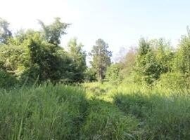 0  Capps RD, Harrison, AR 72601