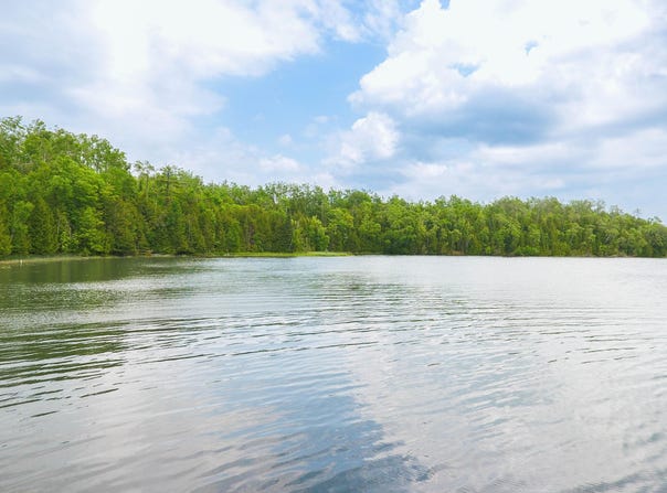 LOT H FOREST DRIVE, CHEBOYGAN, MI 49721