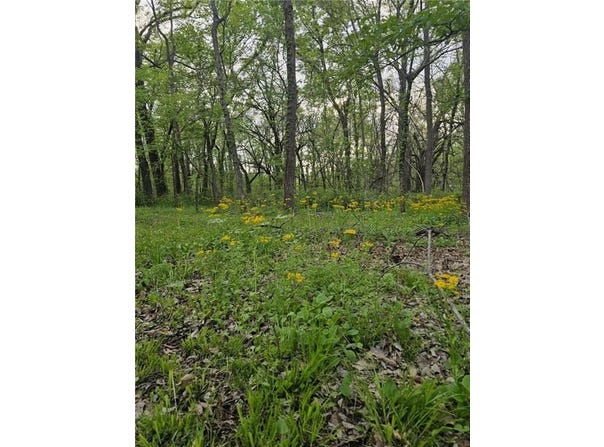 305 & 309 E Sugar Lake Drive, Mound City, KS 66055