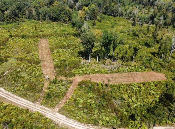 5 Highway 35, Walnut Grove, MS 39189