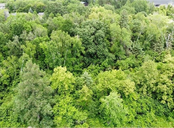 Tbd W 2nd Street, Pillager, MN 56473