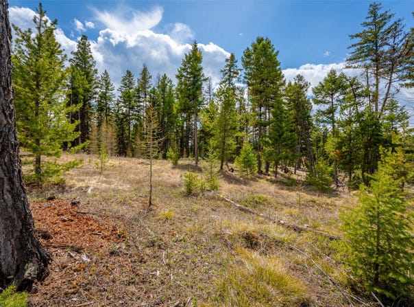 120 Marion Pines Drive, Marion, MT 59925