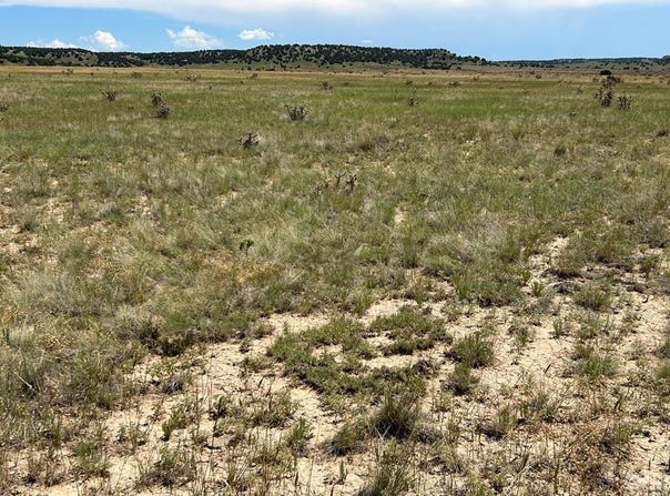 Outback Ranch lot: 4, Model, CO 81059