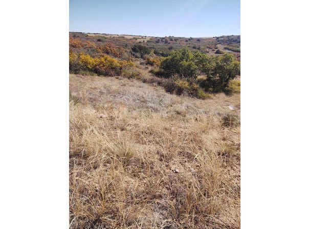 Fort Scott, Colorado City, CO 81019