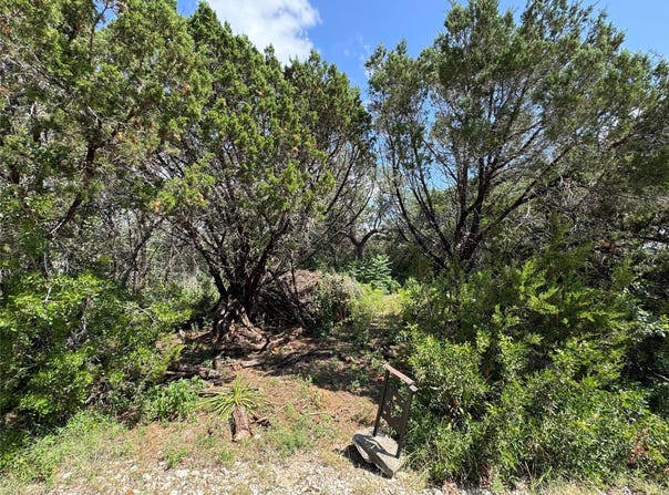 18304 Lake Oaks DR, Jonestown, TX 78645