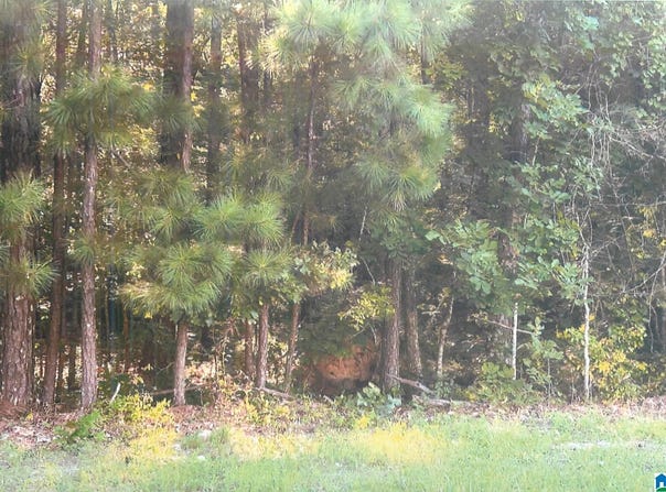 0 WATER OAK LANE, TALLADEGA, AL 35160
