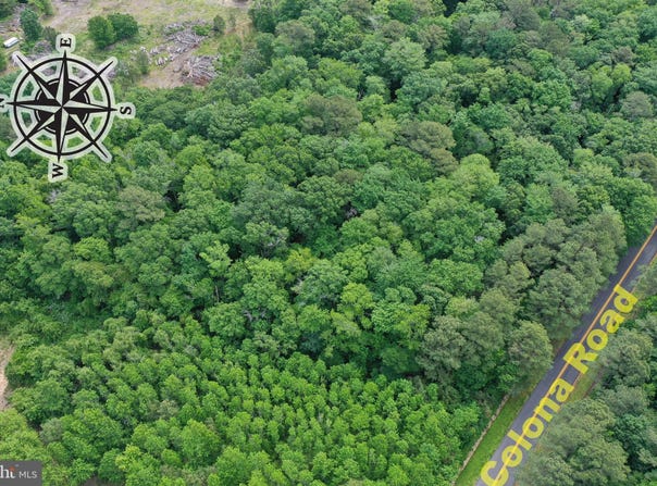 13.17 Acres COLONA ROAD, POCOMOKE CITY, MD 21851