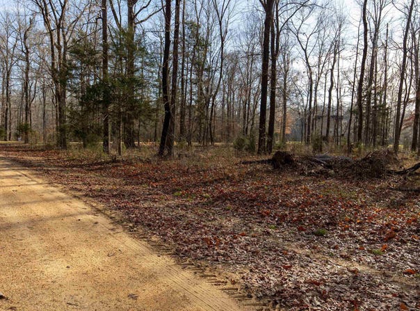 RIVER OAKS LANDING CIRCLE lot: 40, ORRVILLE, AL 36767