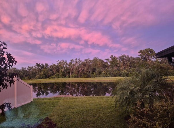 17218 WHITE MANGROVE DRIVE, WIMAUMA, FL 33598