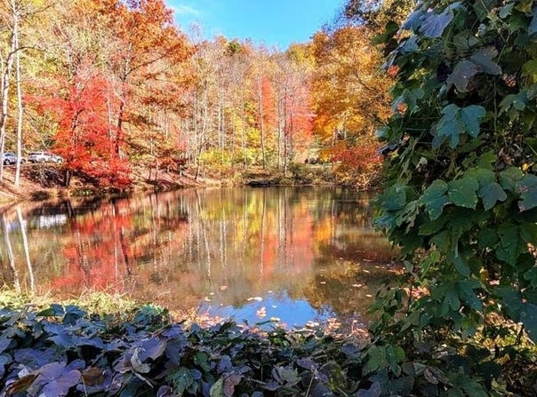 Arnold Hill Rd, Sylva, NC 28779