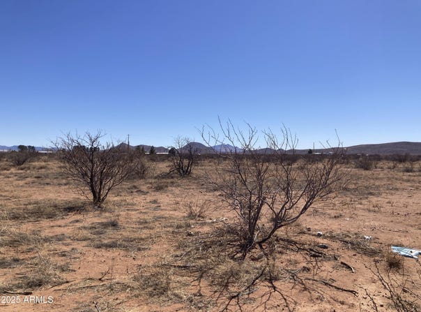 6160 E San Carlos Drive, Sunizona, AZ 85625