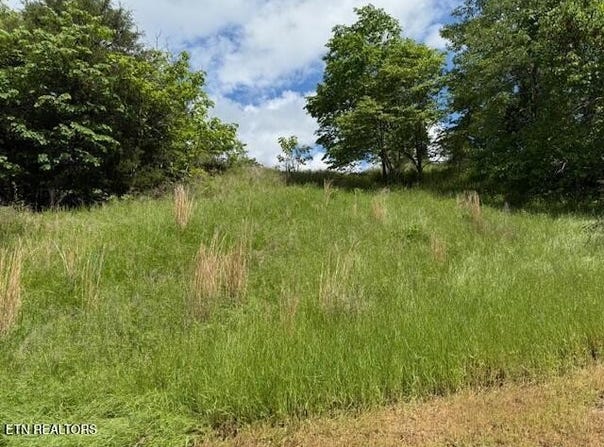 Putters Peak, Tazewell, TN 37879