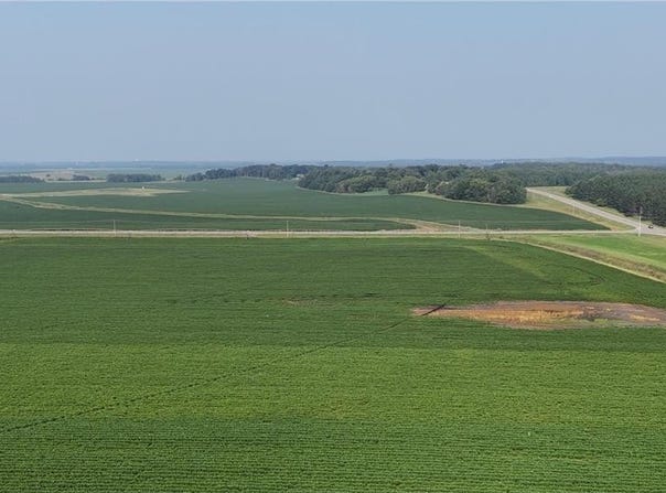 0000 County 61, Browerville, MN 56438
