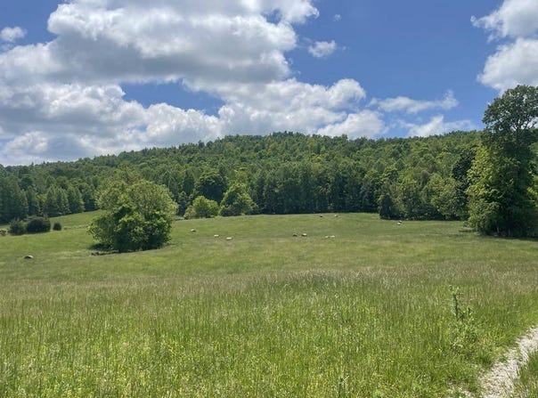 Tract #13 Hunter Ray Way, Albany, KY 42602
