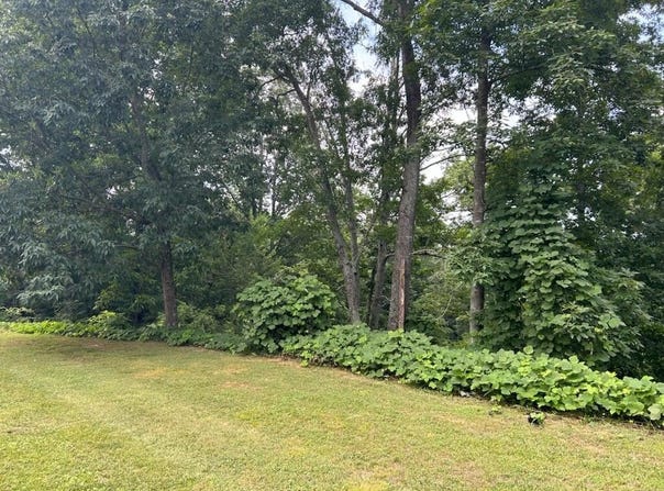 0 Mount View Drive, Tunnel Hill, GA 30755