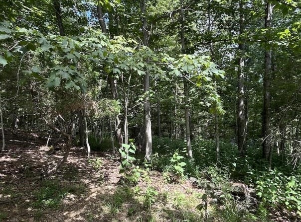 1820 Mountainside Drive, Blacksburg, VA 24060
