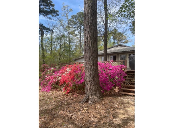 240 Castleberry Rd, Many, LA 71449