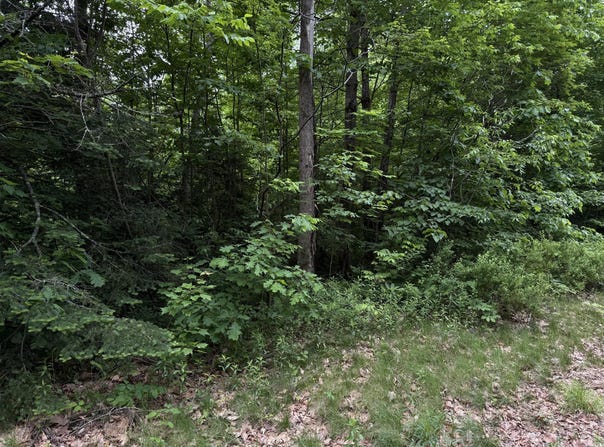 Lot 09 Riverside Drive, Auburn, ME 04210