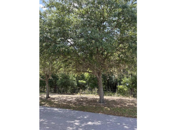 TBD Grass Roots Road, Groveland, FL 34736