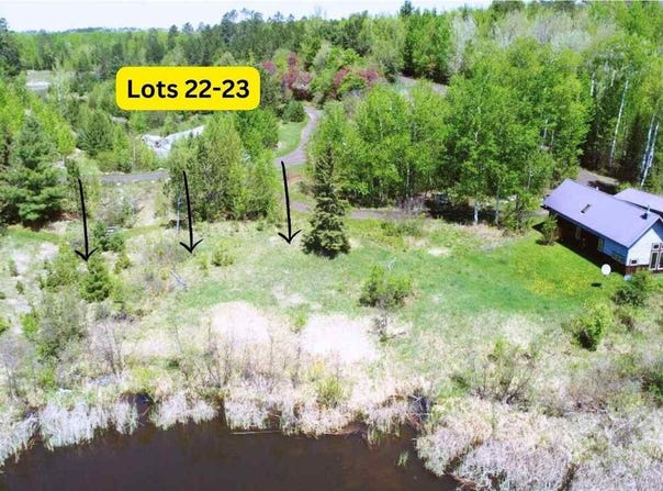 80046 Alder Lane, Tower, MN 55790