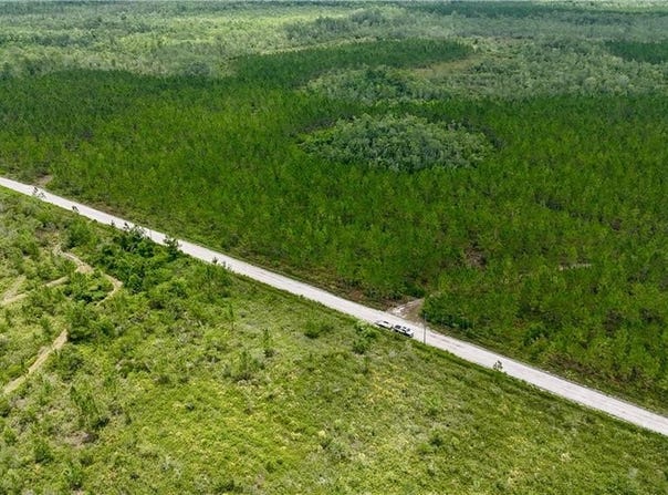 0 Fire Tower Road, Manor, GA 31550