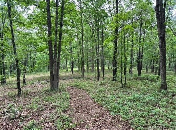 895 Ashwood Road Road, Clinton, AR 72031