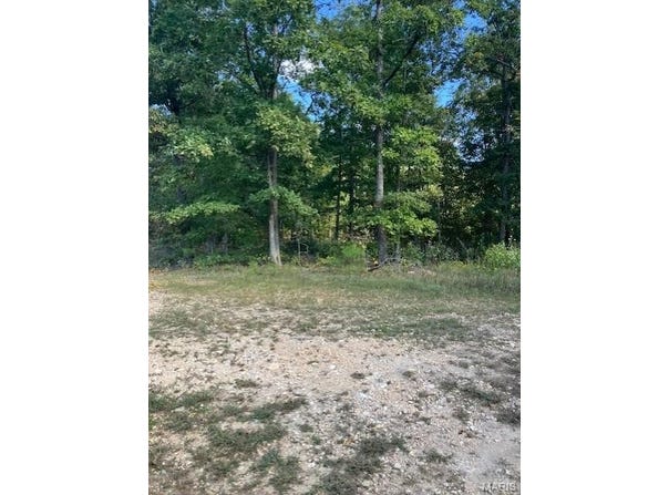 175 Madison CR 410, Fredericktown, MO 63645