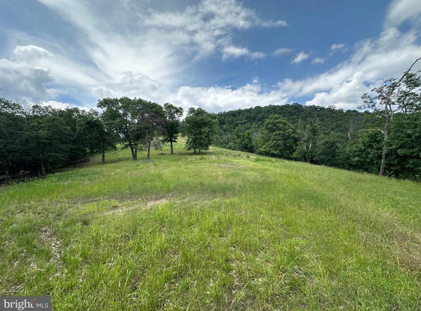 127.40 AC SECTOR ROAD, PURGITSVILLE, WV 26852