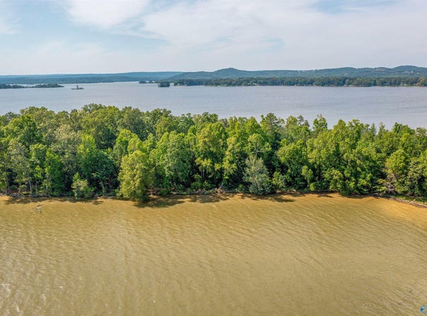 Ff Moneys Bend Road, Cedar Bluff, AL 35960