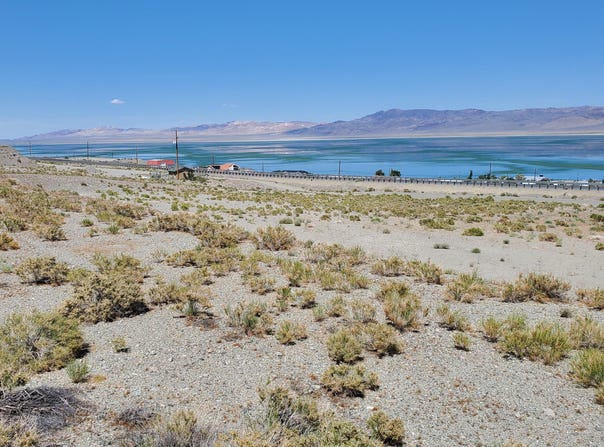 Golden Willow & Cottonwood, Walker Lake, NV 89415