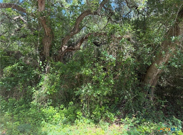 Grand Oak Street lot: 529, Palacios, TX 77465