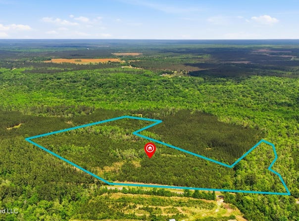 Vestry Road, Perkinston, MS 39573
