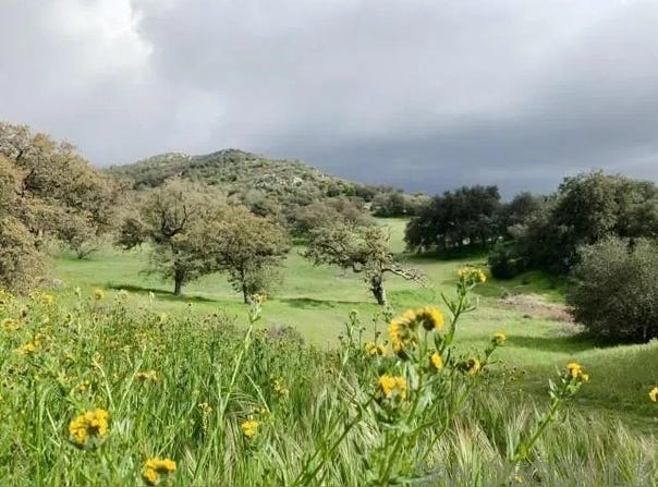 Tule Springs Road, Julian, CA 92036