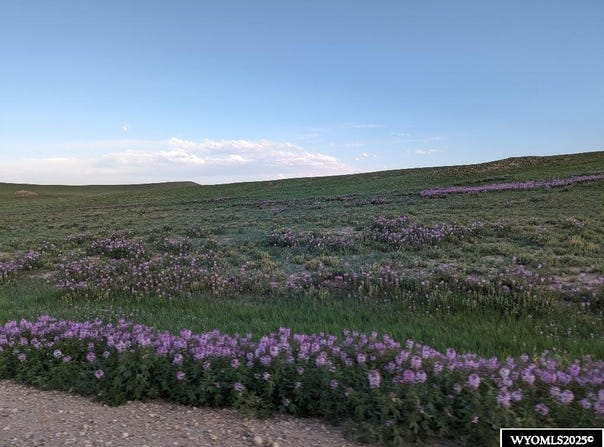 0 Chaps ST, Laramie, WY 82070-9999