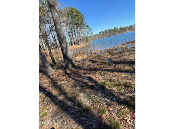 Lot 12 Ramsey Rd, Chatham, LA 71226