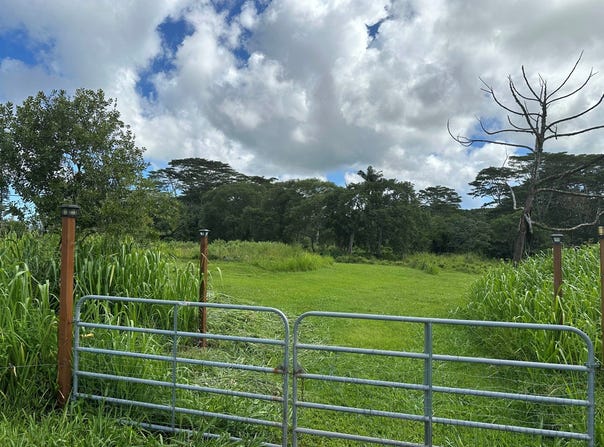 17-4224 KUAAINA RD, Kurtistown, HI 96760